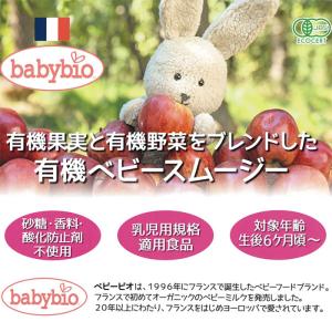 babybio ベビービオ 有機ベビースムージ...の詳細画像2