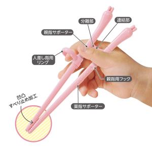 【入学入園応援セール実施中!】 EDIMOTT...の詳細画像2