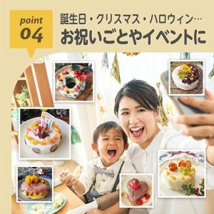 EDISONmama 【てづくりケーキキット】...の詳細画像5