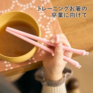 【入学入園応援セール実施中!】 EDIMOTT...の詳細画像4
