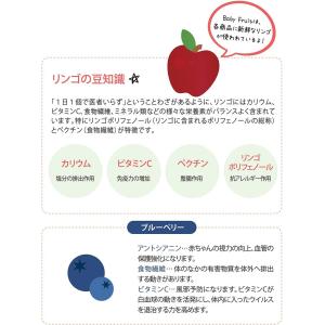 【Frulla】Baby Fruit フルッラ...の詳細画像5