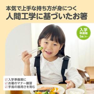 【入学入園応援セール実施中!】 EDISON ...の詳細画像3
