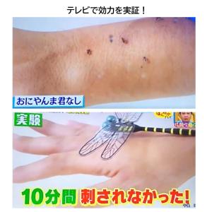 おにやんま君 オニヤンマ君 【ストラップタイプ...の詳細画像5