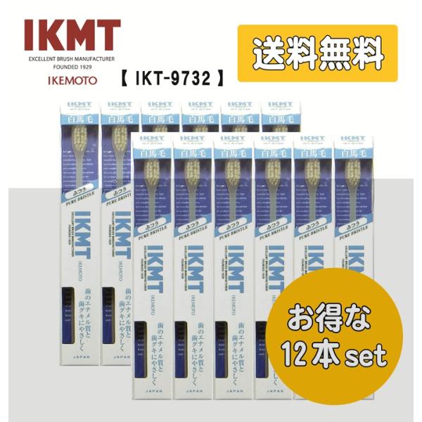 お得な12本セット 《 IKT9732 》 送料無料 IKMT 白馬毛 歯ブラシ コンパクト ふつう...
