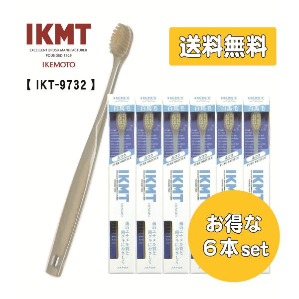 【送料無料】IKMT 白馬毛歯ブラシ コンパクト ふつう IKT-9732 x6本セット イケモト ...