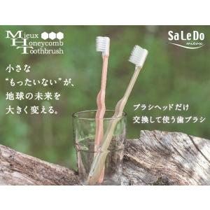 歯ブラシ 新サレド ミューハニカム 替ブラシ2ヶ付 六角形 オーラル