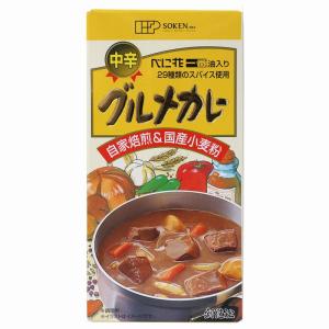 創健社 グルメカレー（中辛） 115g ５皿分｜e-es-e