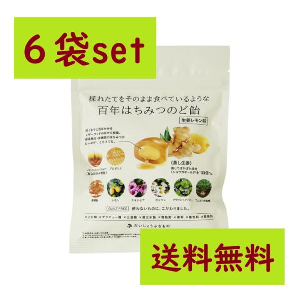 百年はちみつのど飴 〈生姜レモン味〉だいじょうぶなもの レザーウッドハニー＋ハーブキャンディ  51...