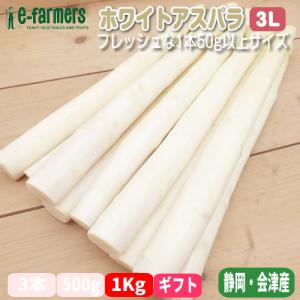 国産ホワイトアスパラ  送料無料 ３Ｌサイズ １７〜２０本 １Ｋｇ以上 プロご用達 フレッシュ初採り 静岡・会津産