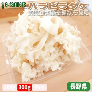 岩手県産　ウラベニホテイシメジ　予約 g700円 ２組限定　受注後収穫 岩手県産 ウラベニホテイシメジ 予約 g700円 2組限定 受注後収穫 楽天