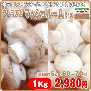 ホテルレストランがセレクトする色も選べるプレミアム　マッシュルーム