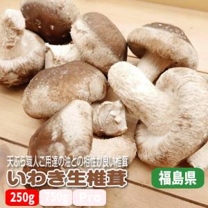 いわきの肉厚生椎茸 ２５０ｇ程度 天ぷらや焼き物に最適 福島県産｜e-farmers