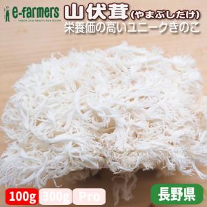 山伏茸(やまぶしだけ) 100gパック きのこな...の商品画像