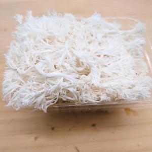 山伏茸(やまぶしだけ) 100gパック きのこ...の詳細画像4