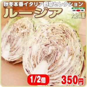 秋冬本番イタリア野菜セレクション　ルージア カット１/２個