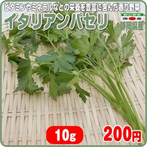 栄養を豊富に含んだ香味野菜　イタリアンパセリ １０ｇ