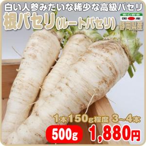 根パセリ 3〜４本 稀少なファンシー野菜 根も食べれる