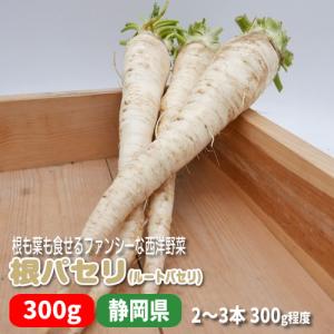 根パセリ ６〜７本 稀少なファンシー野菜 根も食べれる