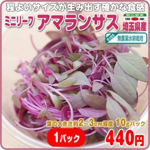 程良いサイズが生み出す確かな食感　ミニリーフ アマランサス