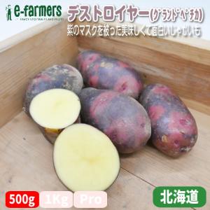 デストロイヤー(グランドペチカ) 2〜5個 50...の商品画像