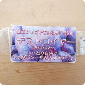 デストロイヤー(グランドペチカ) 2〜5個 5...の詳細画像4