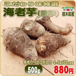 海老芋(里芋)  ５００ｇ こだわり味特選 粉質 ねっとり感もホクホクも 栃木県産