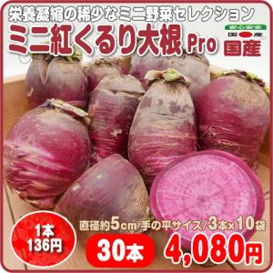 ミニ紅くるり大根 Ｐｒｏ ３本ｘ１０袋ケース 手の平サイズ