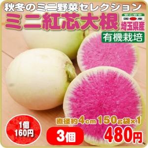 秋冬のこだわりミニ野菜セレクション　紅芯大根 有機 ３本ｘ１袋 埼玉県産