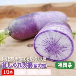 ファンシーカット野菜 紫大根(紅しぐれ大根) 料理を楽しく彩るカラフル大根