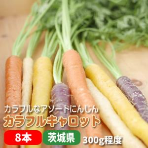 カラフル人参(葉付) アソート８本セット バーニャカウダに彩り野菜