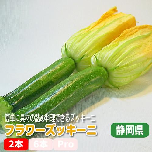 フラワーズッキーニ  ２本パック 花付き 稀少な春野菜 アレンジ料理 静岡県産