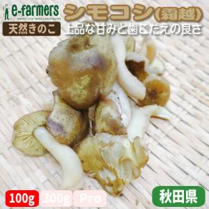 北海道 道南産 ナラタケ ボリボリ瓶詰め 250g×2 500g : ユタックス