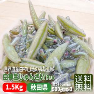 農地直送 秋田県三種町 翡翠生じゅんさい 3キロ d 直売オーダー その他