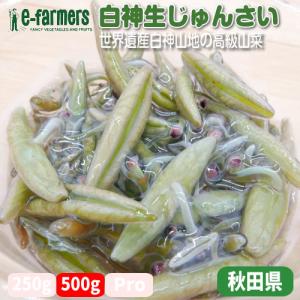 白神生じゅんさい ５００ｇ袋 極上のプリプリ感とツルツルのど越し 秋田県産