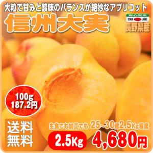 【期間限定】フレッシュあんず 信州大実 送料無料 ２５〜３０個 ２.５Ｋｇ程度 大きく肉厚 甘み酸味絶妙バランス 長野県産