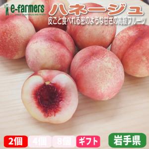 モモネク ハネージュ ２個エコパック ５００ｇ程度 白桃とネクタリンが合体した次世代ファンシーフルーツ