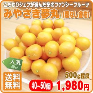 こだわりシェフが選んだ冬のファンシーフルーツ 送料無料　種なし金柑 みやざき夢丸 露地栽培 ５００ｇ 宮崎県産