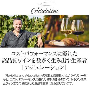 赤ワイン アメリカ アデュレーション ジンファ...の詳細画像1