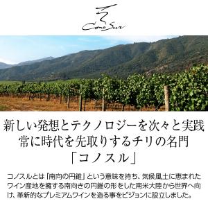 白ワイン チリ コノスル ビシクレタ レゼルバ...の詳細画像1
