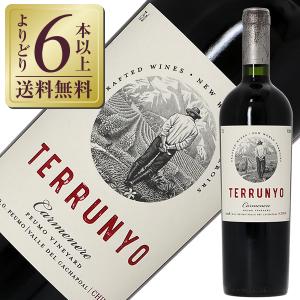 SUNTORY（サントリー） 赤ワイン 国産 登美の丘ワイナリー 登美の丘 赤