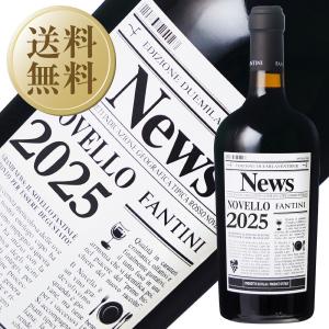 赤ワイン イタリア ファルネーゼ ファンティーニ ヴィーノ ノヴェッロ 2022 750ml