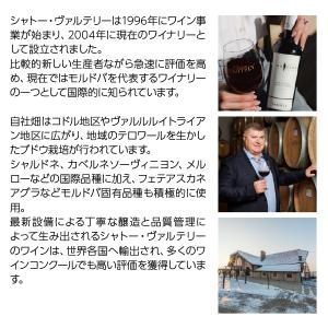 白ワイン モルドバ シャトー ヴァルテリー ソ...の詳細画像2