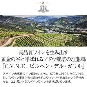 ポイント3倍 白ワイン スペイン ビルヘン デ...の詳細画像1