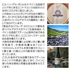 ポイント3倍 白ワイン スペイン ビルヘン デ...の詳細画像2