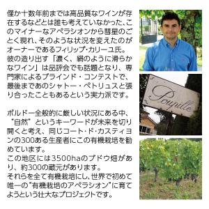赤ワイン フランス ボルドー プピーユ 201...の詳細画像2