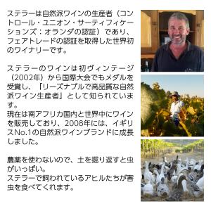 白ワイン 南アフリカ ステラー ワイナリー ラ...の詳細画像2