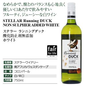 白ワイン 南アフリカ ステラー ワイナリー ラ...の詳細画像3