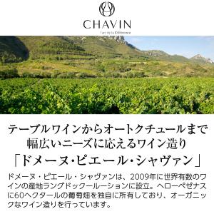 赤ワイン フランス ハーフヴィラ シャヴァン ...の詳細画像1