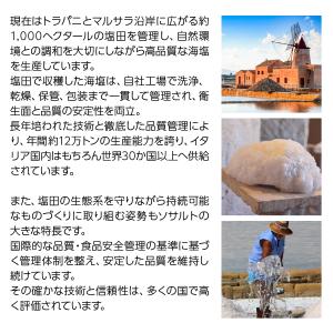 塩 ソサルト モティア サーレ インテグラーレ...の詳細画像2