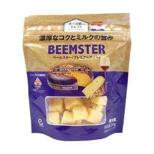 ポイント3倍 オランダ産 セミハードタイプ チー...の商品画像